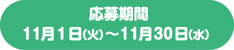 応募期間：11月1日(火)～11月30日(水)